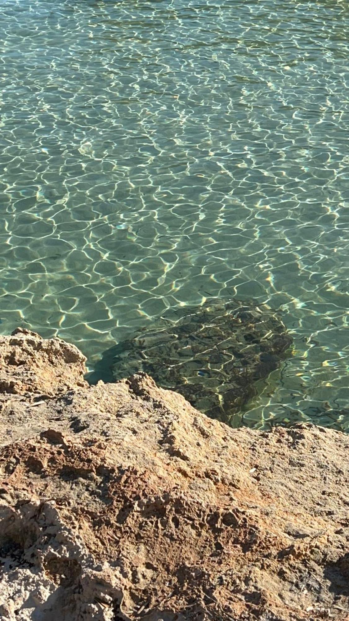 Capitolo Villa Monopoli Bagian luar foto